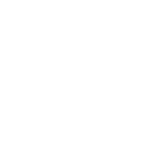 Logo Flavia Brazzoduro Trainer